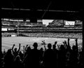 Standing Room Only 11