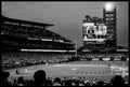 Standing Room Only 6 (Bedlam)